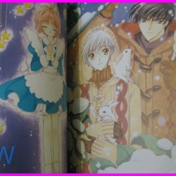 Card Captor Sakura CLAMP Illustration Collection Part 2 Book ArtBook JAPAN recent art book