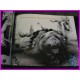 BACKGAMMON REMIX Saiyuki Kazuya Minekura Illustration Collection Book ArtBook Manga art book