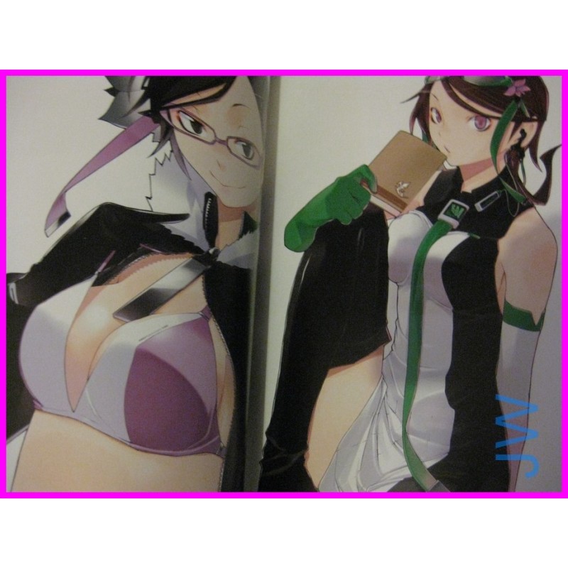 SHOOTING STAR CARNAVAL Durarara YOZAKURA QUARTET C SIDE ILLUSTRATION ART Book JAPAN Artbook 