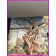 Aa Megami sama Postcard book art illustration Fujishima Oh mia dea