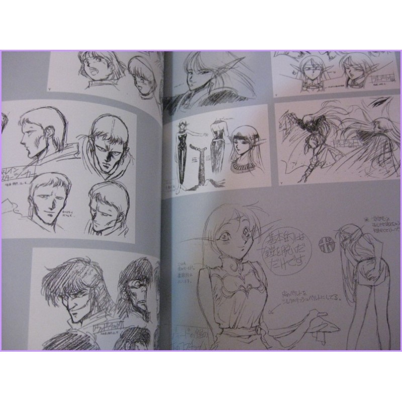 RECORD OF LODOSS WAR OAV Vol.1 e 2 SET Anime Book Illustration Special Artbook Nobuteru Yuuki