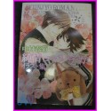 JUNJOU ROMANTICA Junjo SHUNGIKU NAKAMURA ILLUSTRATION Manga ArtBook JAPAN art book YAOI Shonen ai