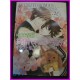 JUNJOU ROMANTICA Junjo SHUNGIKU NAKAMURA ILLUSTRATION Manga ArtBook JAPAN art book YAOI Shonen ai