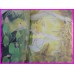 Crystal Fantasia Waki Yamato Book ArtBook Shojo Manga Mademoiselle Anne Haikarasan 