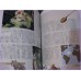 MUTSUMI INOMATA Approach of Atlantis ILLUSTRATION ArtBook art book LEDA