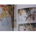 MUTSUMI INOMATA Un Ballo In Maschera ILLUSTRATION ArtBook art book LEDA